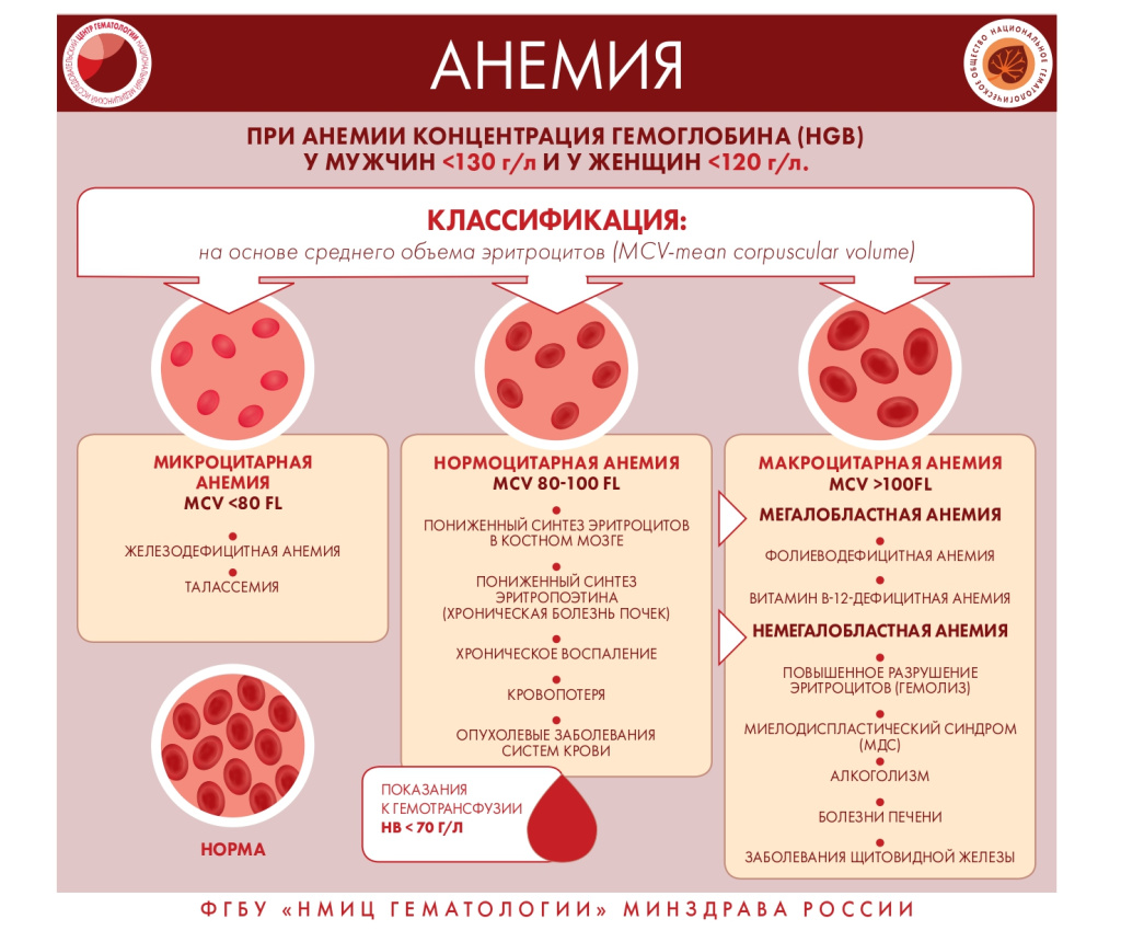 кровь 11.jpg кровь 11.jpg